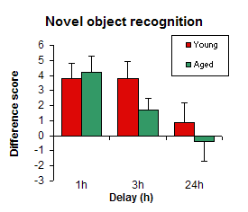 Novel Object 
  Recognition bar chart